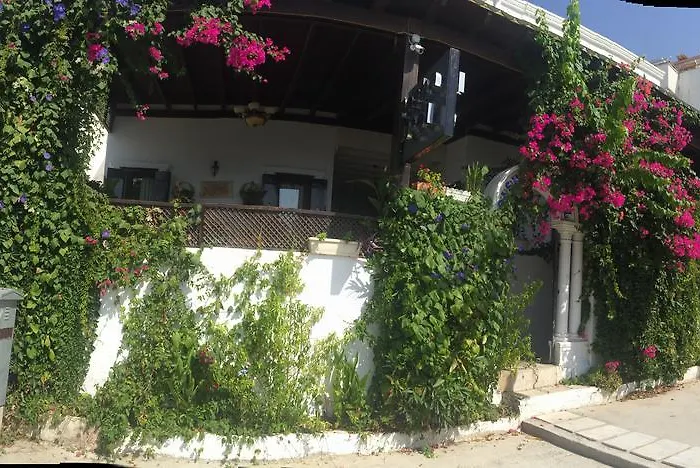 Pasha Motel